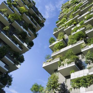 绿色城市化——与约翰·德乔亚（John DeGioia）的对话